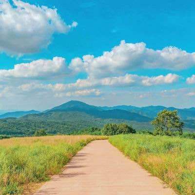 澳门新葡萄新京8883手机app下载