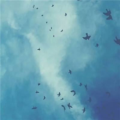 半岛·综合app下载